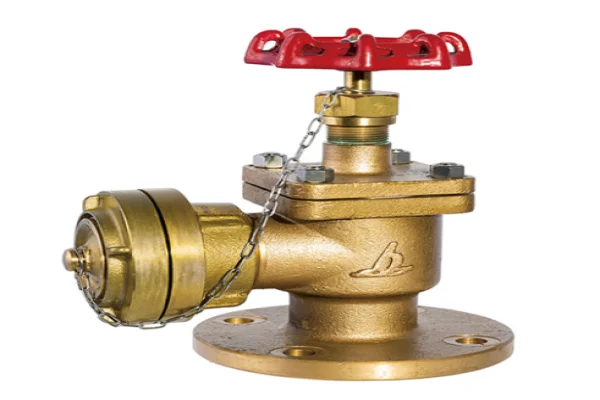 Fire hydrant valve